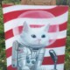 Chat Astronaute