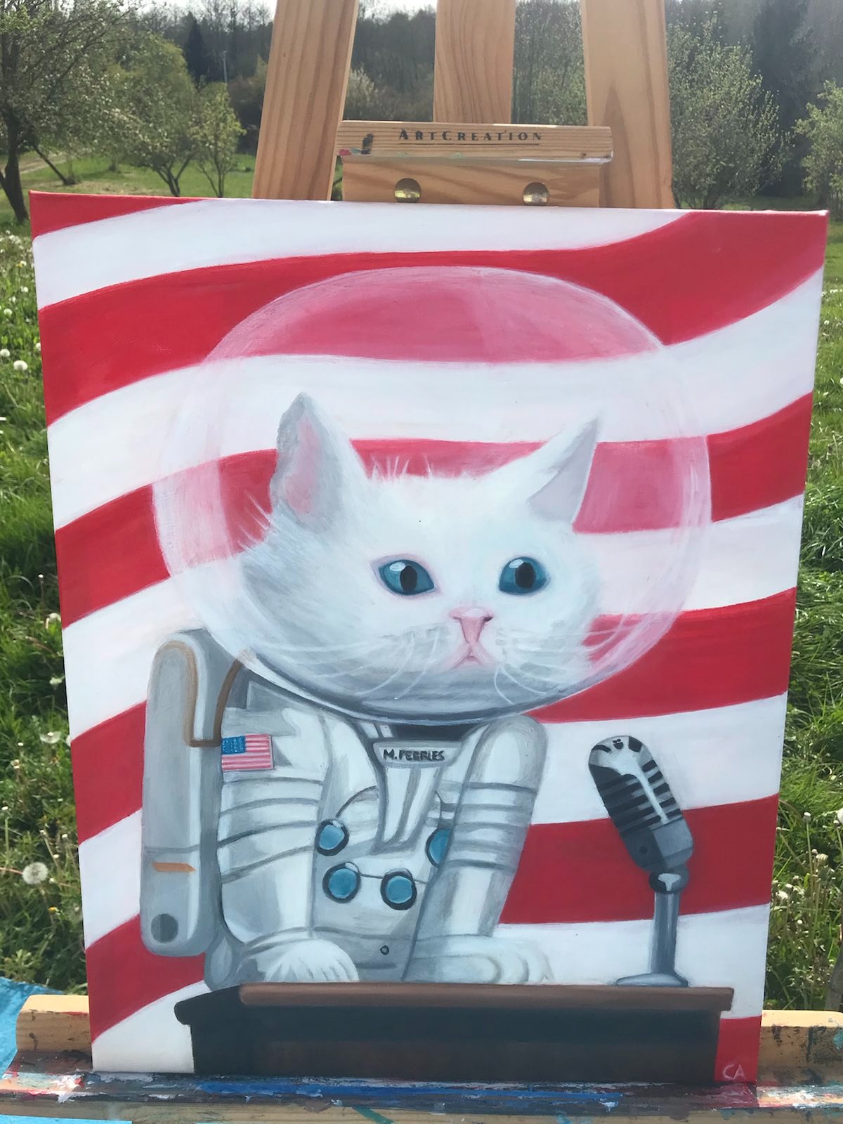 Chat Astronaute
